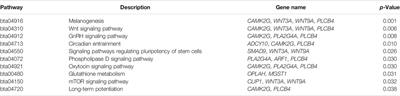 Genetic Parameter Estimation and Genome-Wide Association Study-Based Loci Identification of Milk-Related Traits in Chinese Holstein